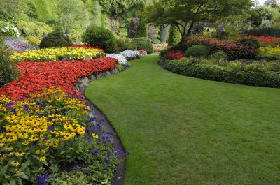 Commercial Landscaping in Honolulu, HI