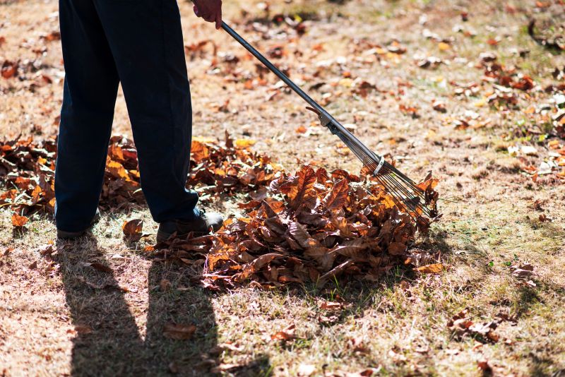 Gathering Leaves with Rakes