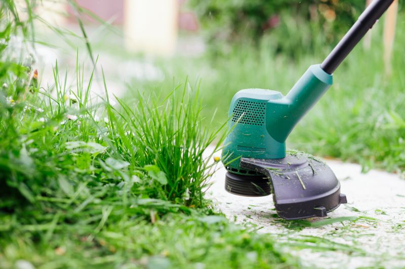 Tree Edging Installation in Citrus County, FL